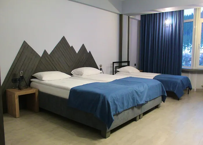 酒店 синя гора 布克维